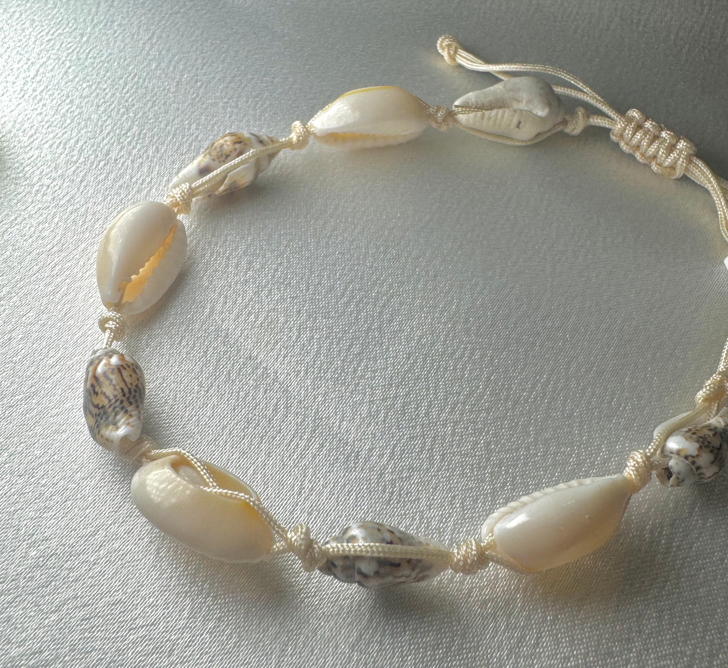 Shell Bracelet