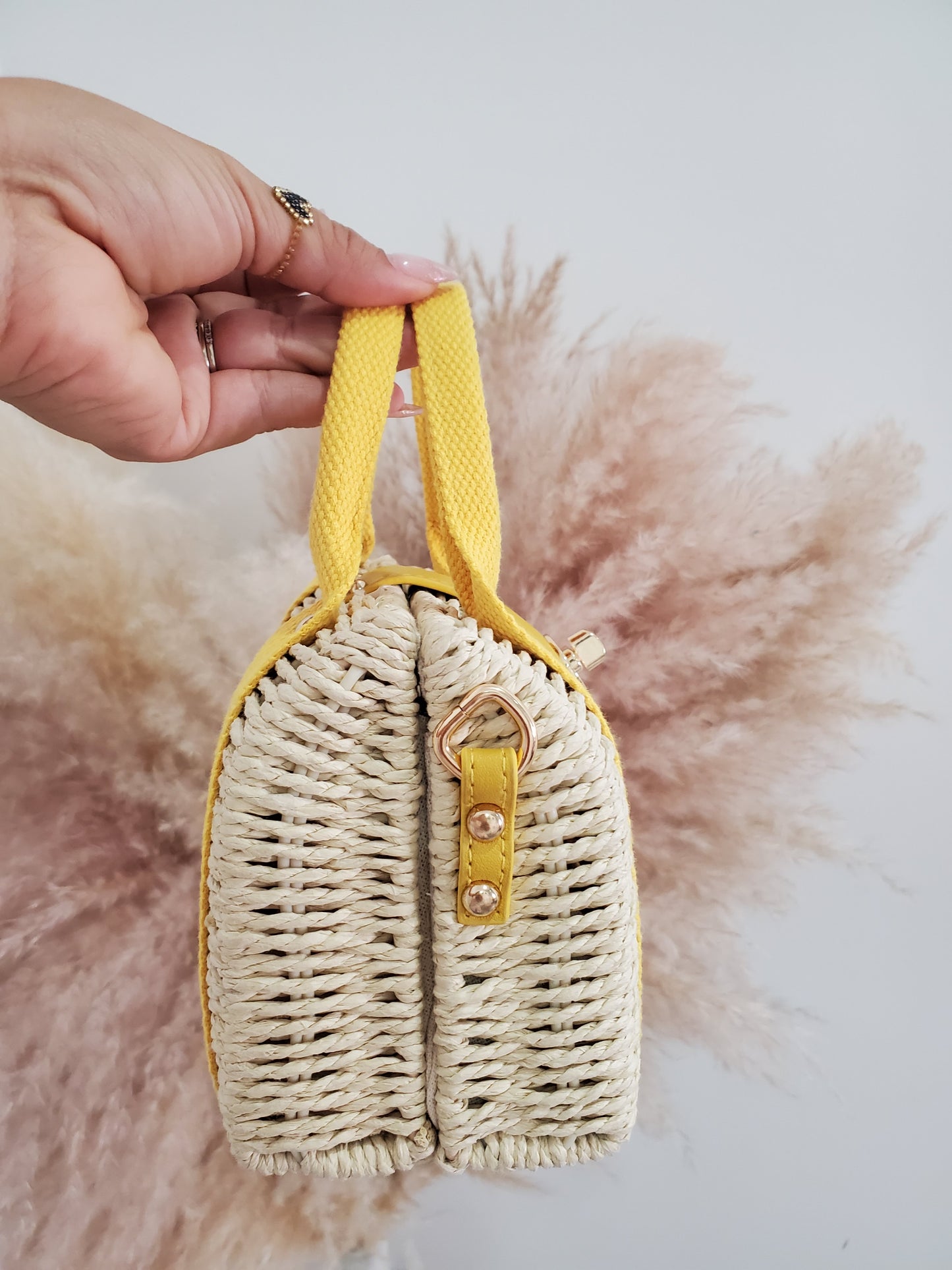 Alexa bag 1128