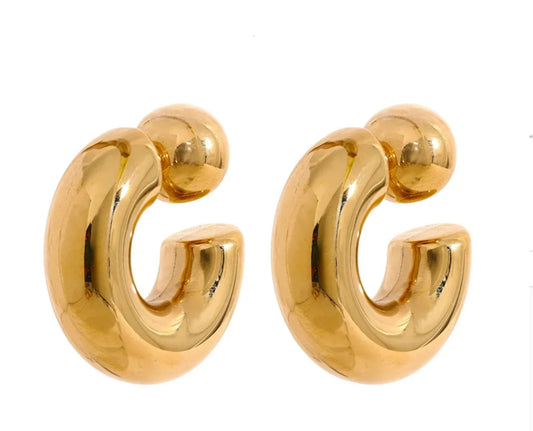 Argolla Earrings